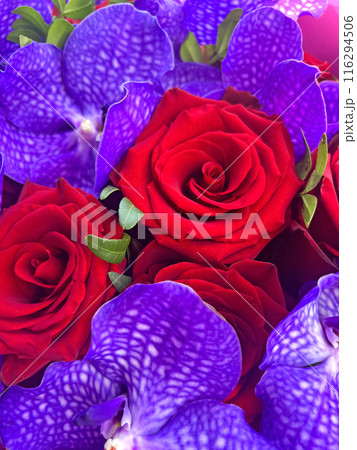 Bright colorful bouquet of red roses and purple orchids Bright colorful bouquet of red roses and purple orchids 116294506