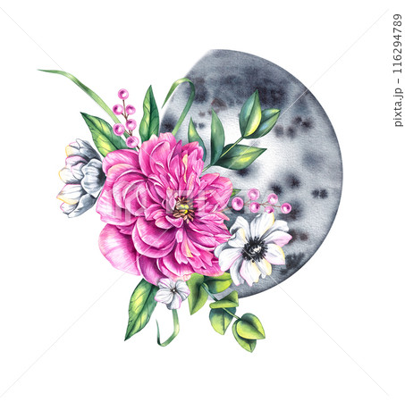 Blooming watercolor moon with bouquet with peony, anemones, berries Blooming watercolor moon with bouquet with peony, anemones, berries 116294789