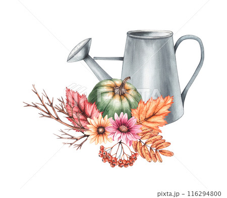 Watercolor autumn watering can with autumn flowers, leaves and pumpkins Watercolor autumn watering can with autumn flowers, leaves and pumpkins 116294800