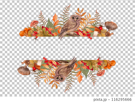 Rowan, rosehip, tree branch, mushrooms, leaves, fern, owl, autumn forest, frame, hand-drawn illustration in watercolor on a white background. Suitable for design cards, invitation, posters, holiday. 116295666