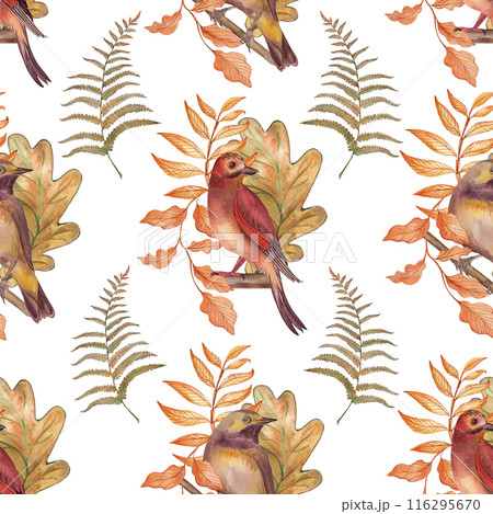 Bird, finch, tree branch, leaf, fern, autumn, illustration, seamless pattern in watercolor on a white background. Suitable for printing cards, textile, fabric, fashion design, accessories, tableware. Bird, finch, tree branch, leaf, fern, autumn, illustration, seamless pattern in watercolor on a white background. Suitable for printing cards, textile, fabric, fashion design, accessories, tableware. 116295670