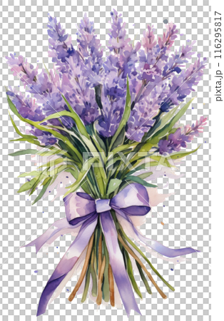 Watercolor Painting of a Lavender Bouquet 116295817