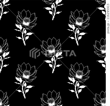 seamless symmetrical pattern of white graphic magnolia flowers on a black background, texture, design 116295913