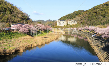 桜のある風景（南伊豆町） 116296407