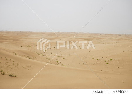Abu Dhabi, United Arab Emirates - 2 May 2024: Desert Rub' al Khali in United Arab Emirates 116296525