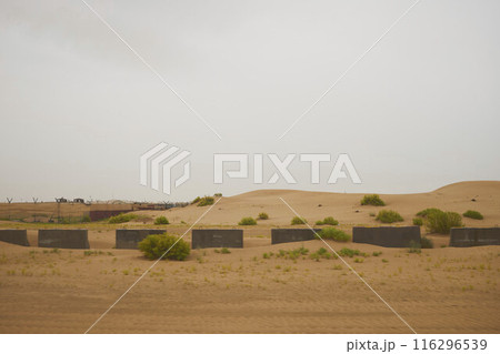 Desert Rub' al Khali in United Arab Emirates 116296539