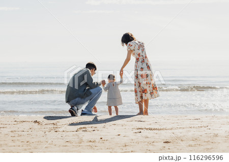 Serenity Found: A Family by the Sea 116296596
