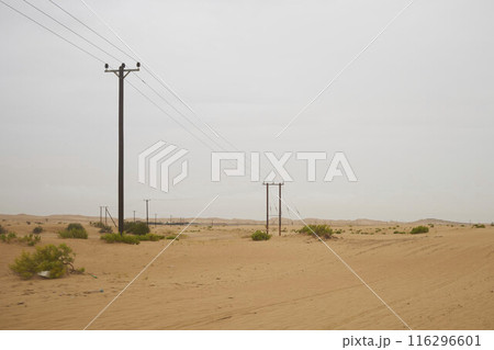 Desert Rub' al Khali in United Arab Emirates 116296601