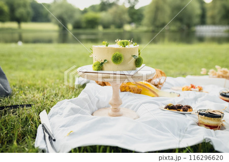 Serene Delight: Cake Picnic on the park 116296620