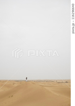 Desert Rub' al Khali in United Arab Emirates Desert Rub' al Khali in United Arab Emirates 116296640