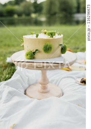 Serene Lake, Sweet Cake on the park 116296673