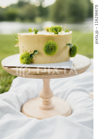 Enchanted Cake on Grassy Stand 116296678