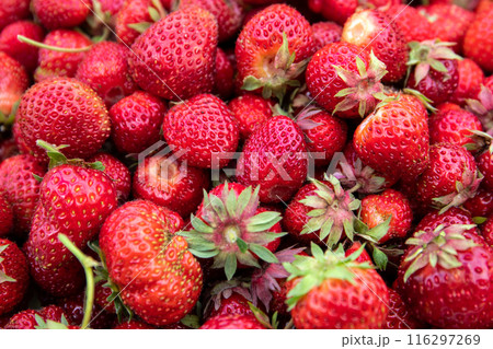 Organically grown strawberries, top view of red berries 116297269