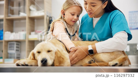 Vet, woman and stethoscope for dog with child, care or listen for health, cardiology and breathing with wellness. Girl, doctor and golden retriever with assessment, exam and lungs at animal hospital 116297332