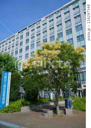 大阪出入国在留管理局 116297348