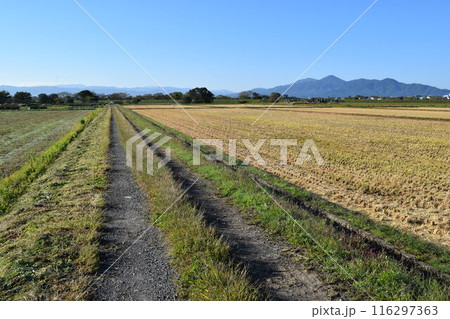 農道と田園風景 山形県庄内 農道と田園風景 山形県庄内 116297363