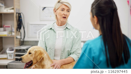 Woman, veterinary and consulting owner with dog for animal care, visit or healthcare at shelter. Female person or veterinarian talking to customer with sick pet for exam or consultation at clinic 116297445
