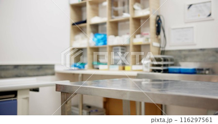 Vet, room and table with equipment for clinic, shelter or storage of tools and medication at animal hospital. Empty space, interior or surface for pet visit, examination or checkup center in facility 116297561