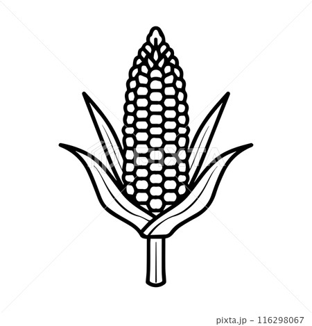 Corn icon or modern line symbol. Vector line art and icon design with bold outline. Black and white Pixel Perfect minimalistic symbol isolated white background. Silhouette simple thin sign Corn icon or modern line symbol. Vector line art and icon design with bold outline. Black and white Pixel Perfect minimalistic symbol isolated white background. Silhouette simple thin sign 116298067
