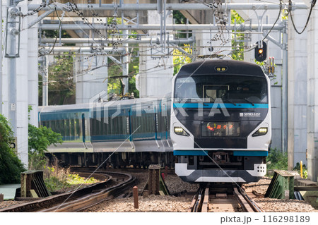 【湘南新宿ライン】高架下区間を走行する特急列車 116298189