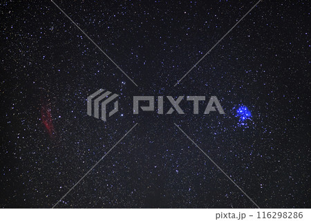 秋の星空　青く輝くプレアデス星団と赤いカリフォルニア星雲 116298286