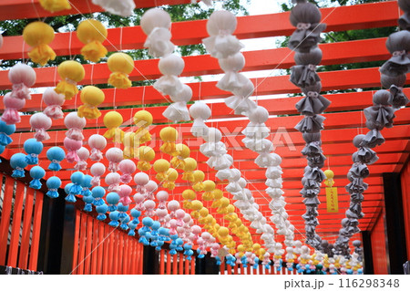 神社に飾られたたくさんのてるてる坊主　 116298348
