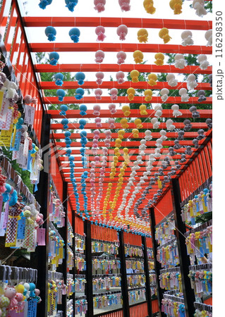 神社に飾られたたくさんのてるてる坊主　 116298350