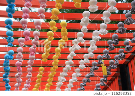 神社に飾られたたくさんのてるてる坊主　 116298352