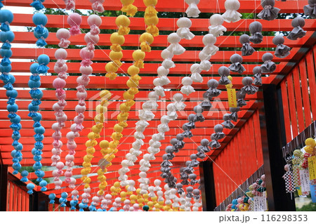 神社に飾られたたくさんのてるてる坊主　 116298353