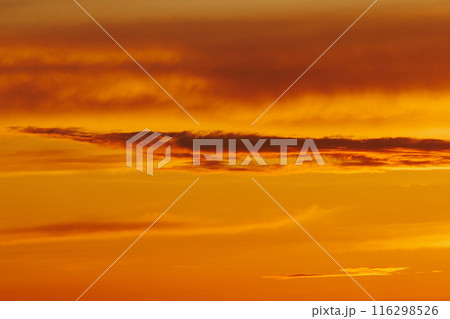 Sea sandy beach. An inspiring beach, a seascape on the horizon.  116298526