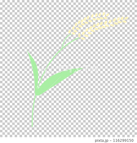 スタンプ風の稲のイラスト 116299150