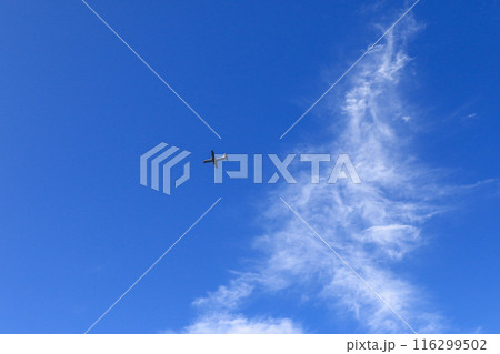 青空を飛ぶ飛行機 116299502