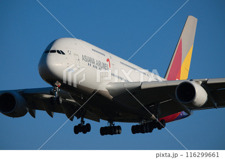 アシアナ航空 116299661