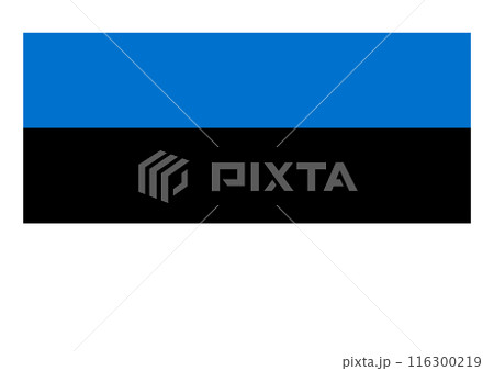 国旗　エストニア 116300219