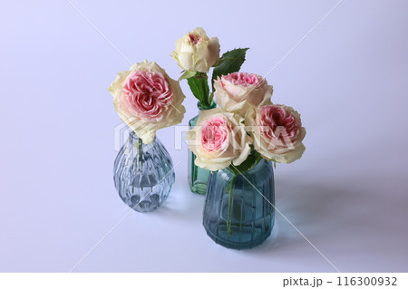 ガラス瓶に挿したバラ 116300932