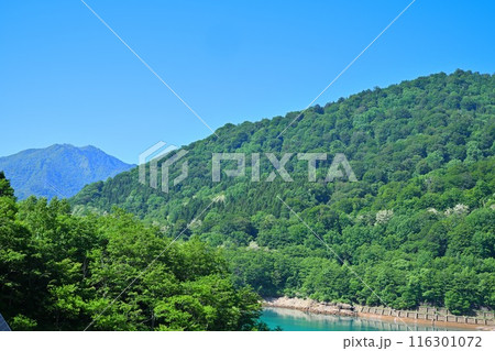 二居ダム 天端から湖畔の山風景 湯沢町 二居ダム 天端から湖畔の山風景 湯沢町 116301072