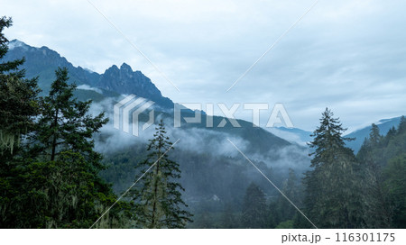 Beautiful high altitude foggy forest mountain landscape Beautiful high altitude foggy forest mountain landscape 116301175