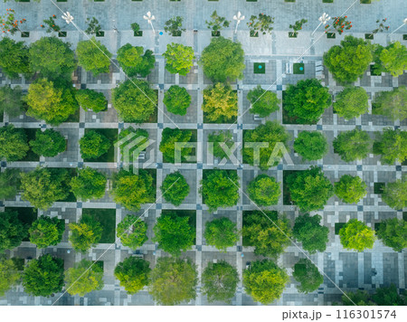Aerial view of landscape in Shenzhen city,China Aerial view of landscape in Shenzhen city,China 116301574