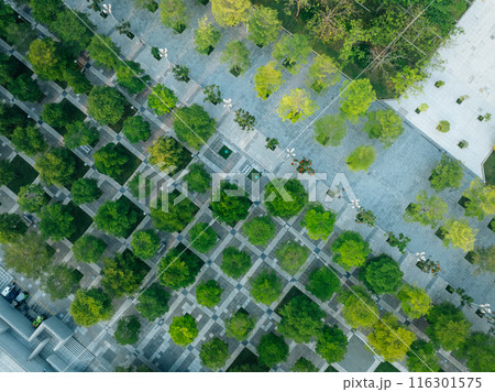 Aerial view of landscape in Shenzhen city,China Aerial view of landscape in Shenzhen city,China 116301575