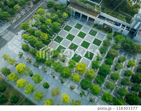Aerial view of landscape in Shenzhen city,China 116301577