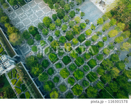 Aerial view of landscape in Shenzhen city,China 116301578