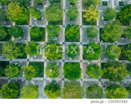 Aerial view of landscape in Shenzhen city,China Aerial view of landscape in Shenzhen city,China 116301582