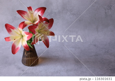 花瓶に入ったユリの花 116301631