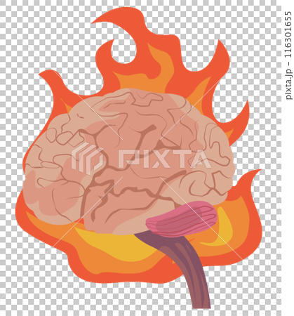 大腦著火的插圖 116301655
