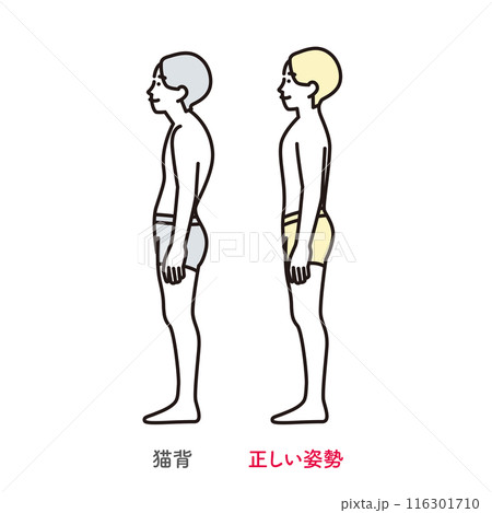 シンプル イラスト 正しい姿勢の男性と猫背の男性 シンプル イラスト 正しい姿勢の男性と猫背の男性 116301710