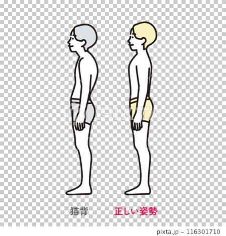 シンプル イラスト 正しい姿勢の男性と猫背の男性 シンプル イラスト 正しい姿勢の男性と猫背の男性 116301710