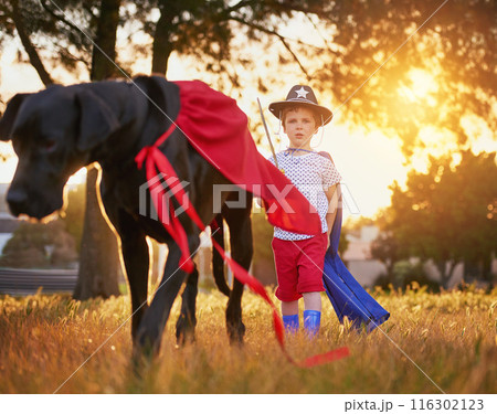 Portrait, dog or child with sheriff costume in garden for adventure, bonding and games outdoor. Animals, pet or boy with Great Dane puppy in park for halloween, fantasy or learning responsibility Portrait, dog or child with sheriff costume in garden for adventure, bonding and games outdoor. Animals, pet or boy with Great Dane puppy in park for halloween, fantasy or learning responsibility 116302123