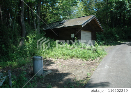 芒種過ぎの町田市下小山田町の小山田緑地の樹木と風景 芒種過ぎの町田市下小山田町の小山田緑地の樹木と風景 116302259