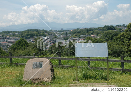 芒種過ぎの町田市下小山田町の小山田緑地の樹木と風景 芒種過ぎの町田市下小山田町の小山田緑地の樹木と風景 116302292