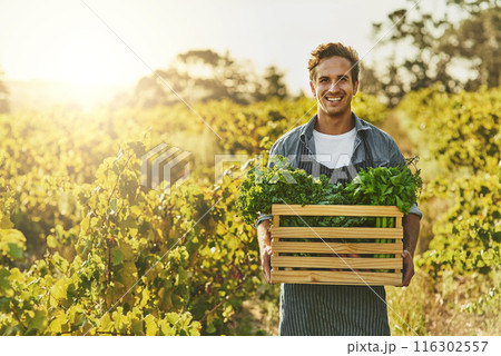 Vegetables, farming and portrait of man with box for agriculture, growth and production in nature. Happy, farmer and container with healthy food for sustainable business, organic produce and harvest Vegetables, farming and portrait of man with box for agriculture, growth and production in nature. Happy, farmer and container with healthy food for sustainable business, organic produce and harvest 116302557